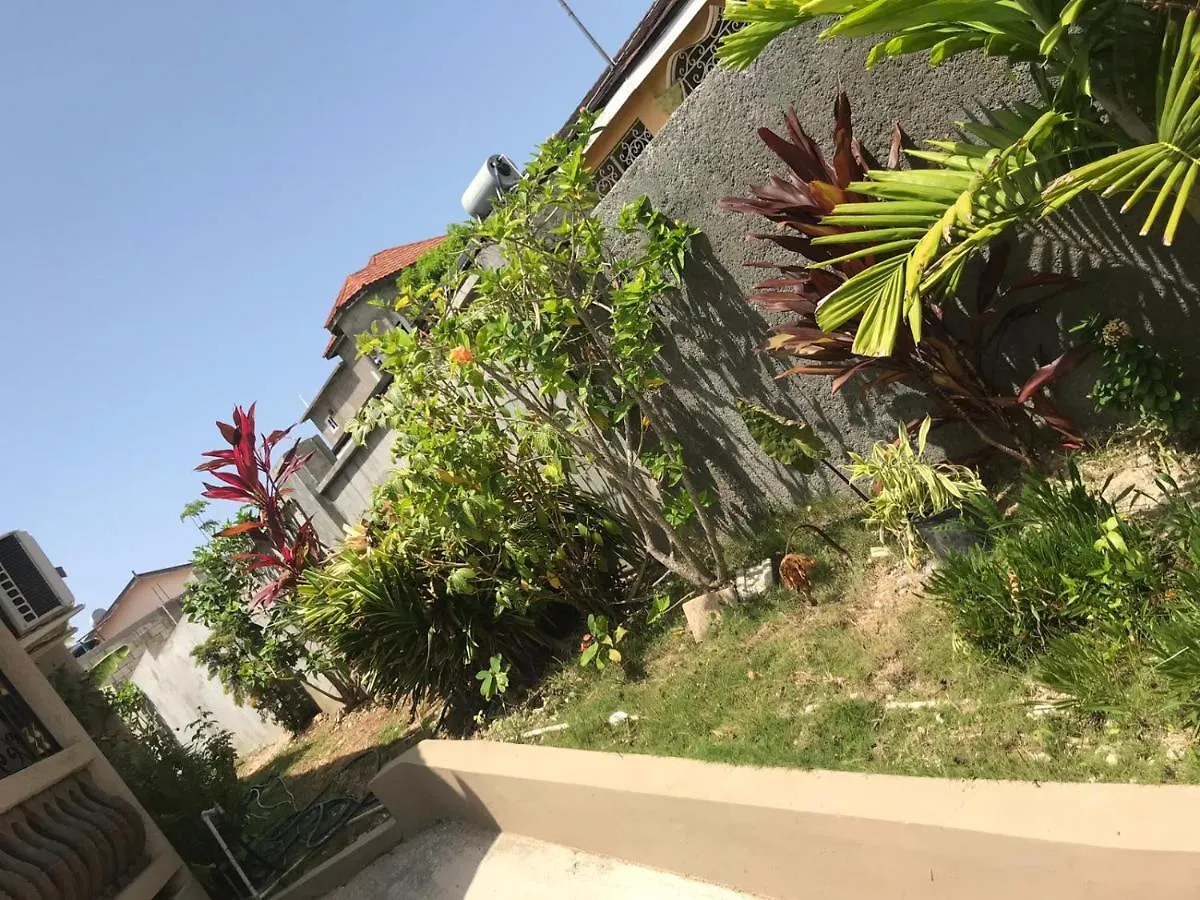 Mountain View Bungalow 蒙特哥贝 牙买加